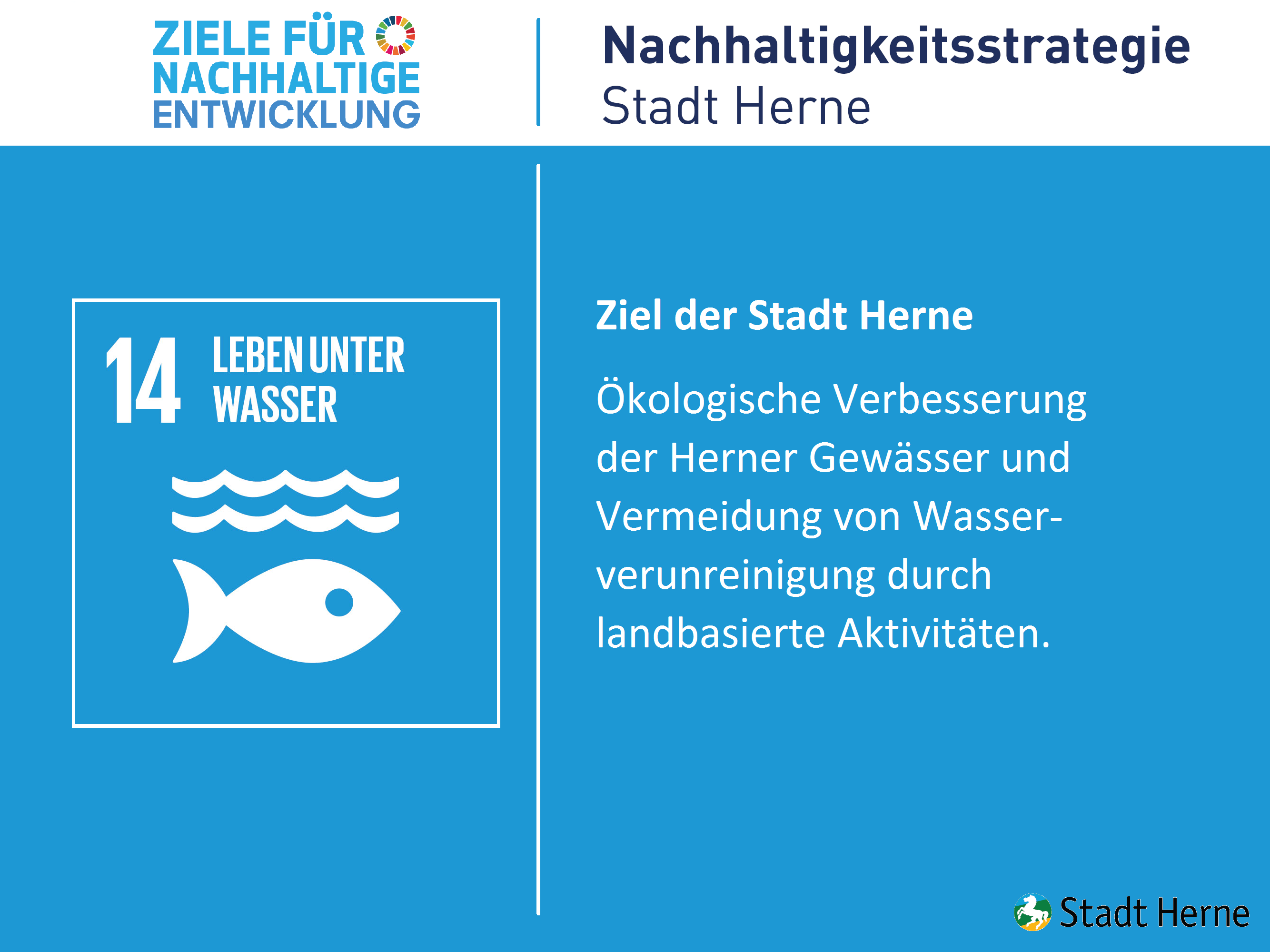 Leben unter Wasser