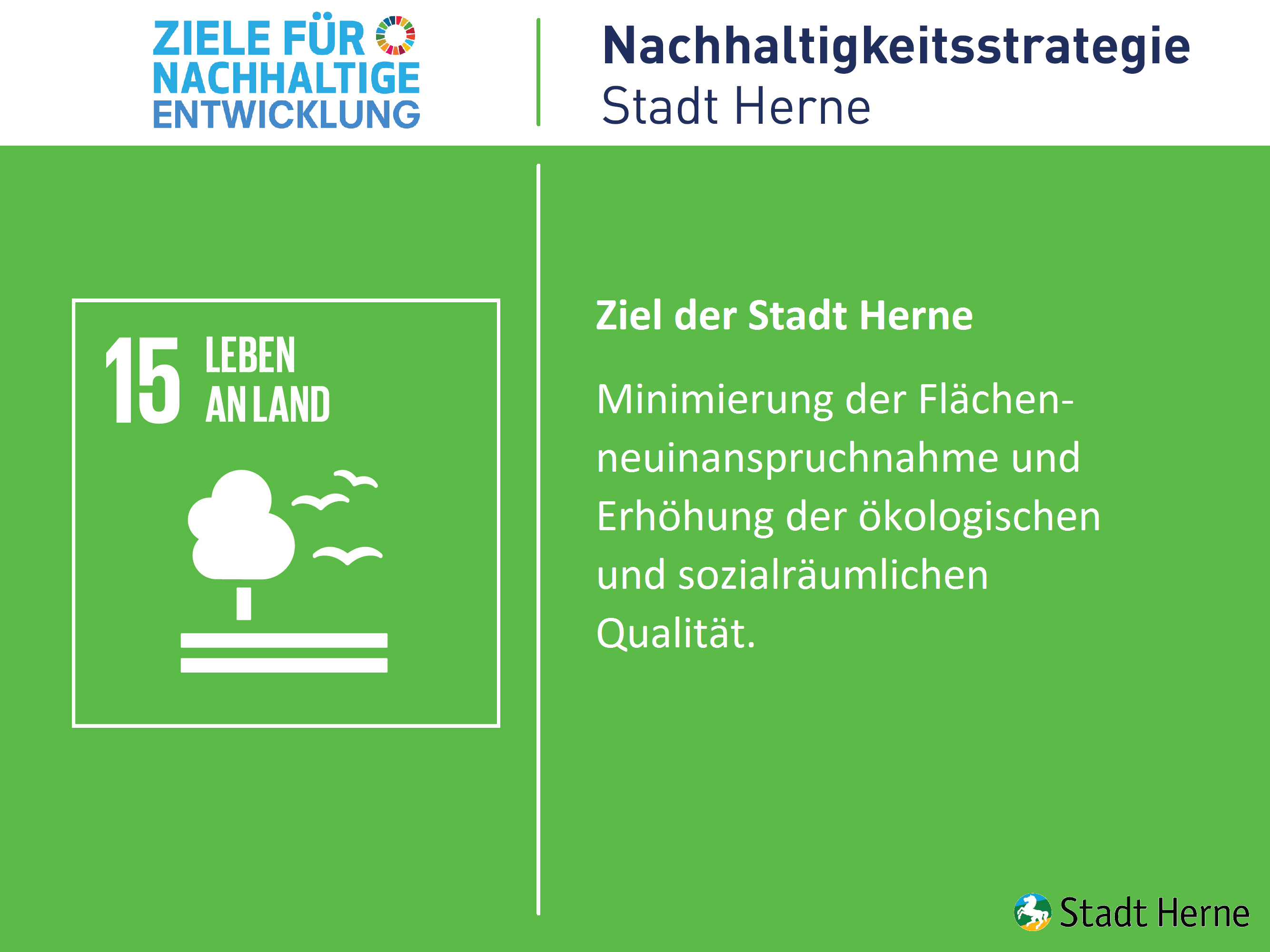 Leben an Land